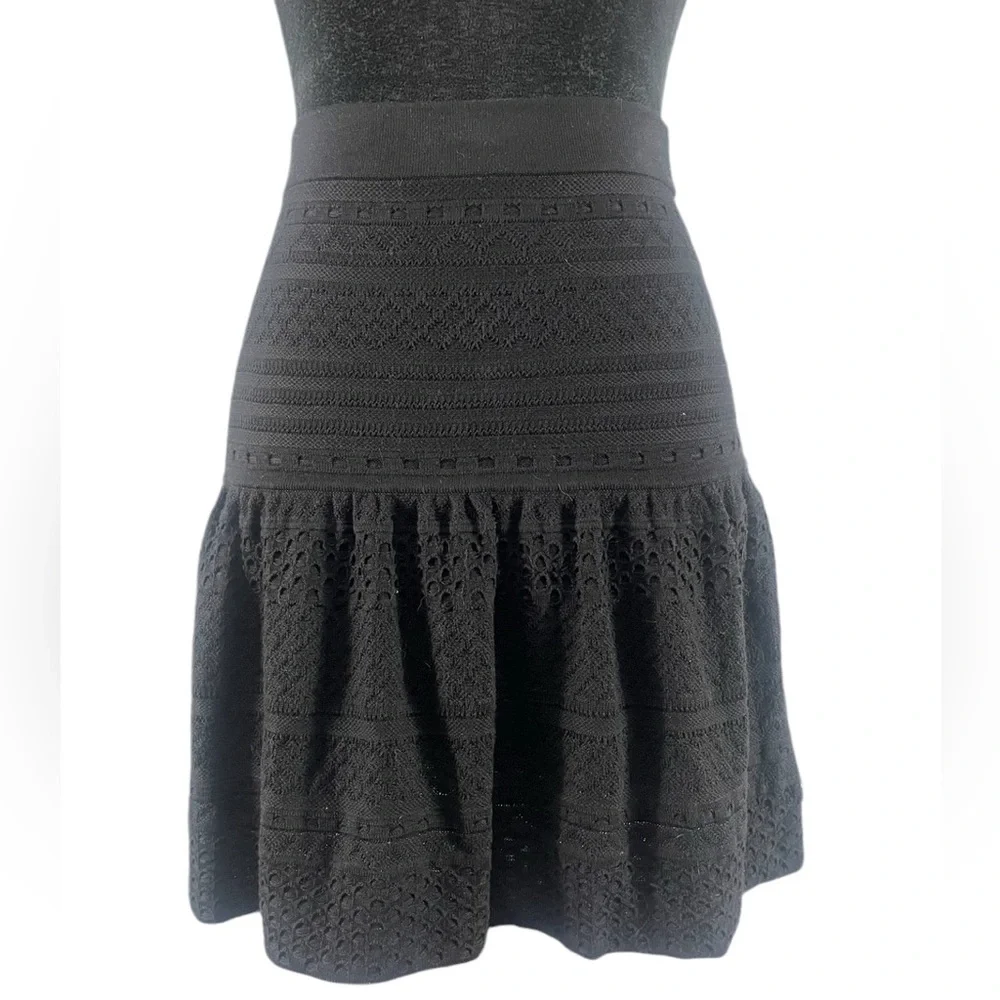 BCBG Black Embroidered Black Mini Skirt, Small - Picture 2 of 6